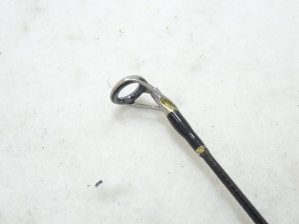 アーリープラス100M